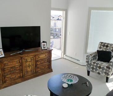 1 Bed Top Floor Condo For Rent In Royal Oak - Photo 5