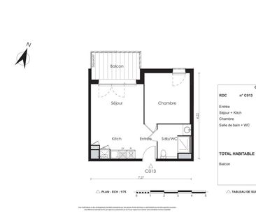 Location Appartement 2 pièces 40m² CASTANET TOLOSAN 31320 - Photo 4