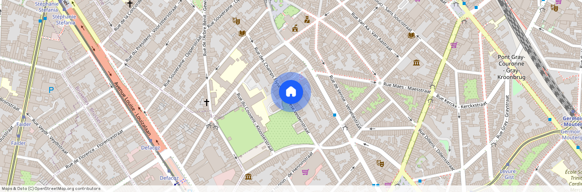 Rue Des Champs Élysées - Elyzeese Veldenstraat, 40, 1050, Ixelles
