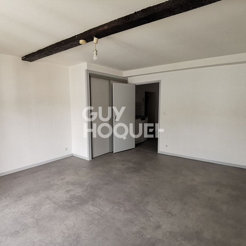 Appartement STUDIO à louer à Tilh - Photo 1