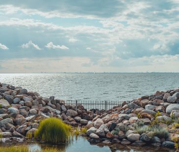 Sundholmsgatan, Limhamn - Photo 2
