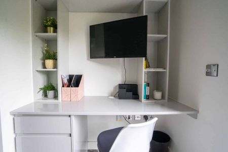 Deluxe Studio - Photo 5