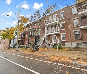 Appartement à louer - Montréal (Rosemont/La Petite-Patrie) (Vieux-R... - Photo 2