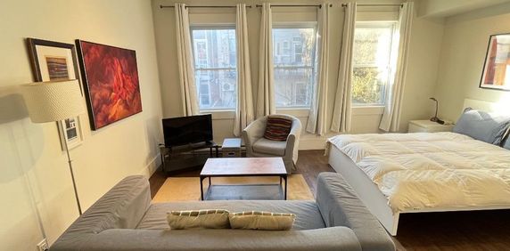 Logement lumineux et tranquille à louer – Vieux-Rosemont / Promenade Masson - Photo 2