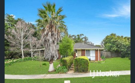 For Lease � 56 Collins Crescent, Berwick VIC 3806 - Photo 5