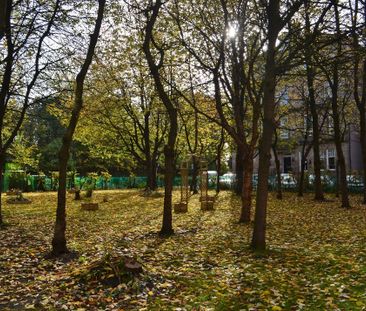 Springhill Gardens - Photo 6