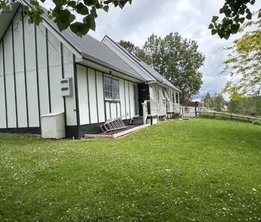 Charming 2-Bedroom Home with Spacious Attic in Waitoki - Photo 4