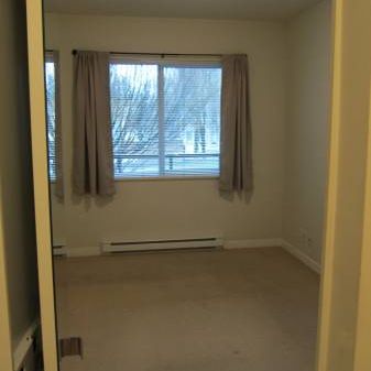 1 Bedroom, 1 Bathroom Condo for rent - Photo 3