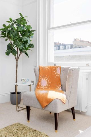 Elvaston Place Room 1 Room 2 - Photo 2