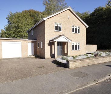 3 bedroom detached house to rent - Photo 4