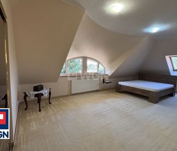 Dom na wynajem Szczecin - Wolnostojący dom z dużą działką - Photo 6