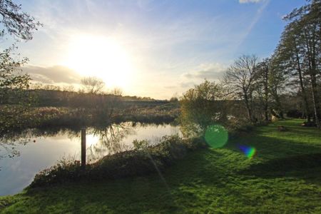 Newmans Close, Wimborne - Photo 5