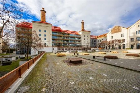 Unikátní ateliér 146 m - Photo 4