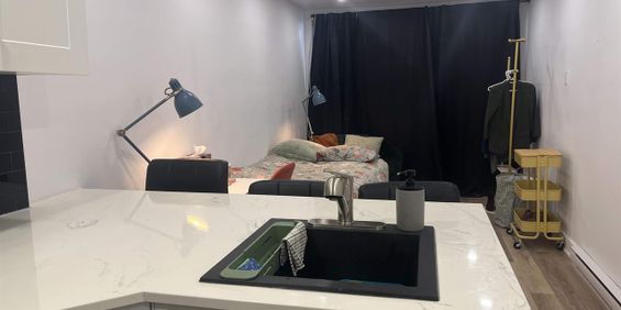 1 CH - 1 SDB - Montréal - $1,395 /mo - Photo 3