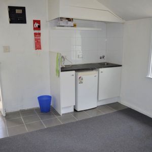 7/398 Bourke Street, Darlinghurst NSW 2010 - Studio For Rent | Domain - Photo 3