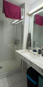 Location Appartement 1 pièce 19m² NANTES 44200 - Photo 3