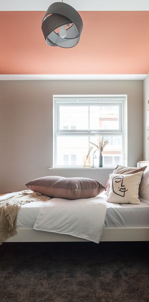 8 Bedroom house 5 with ensuite 3 rooms share 1 bathroom Room 3 - Photo 1