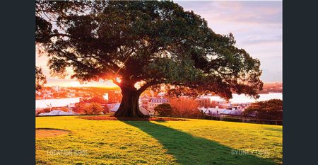 APARTMENT RICH IN HERITAGE CHARM | Furnished - Photo 3