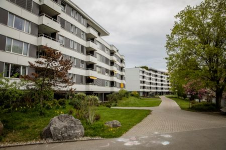 Ruhige Wohnung in der Überbauung Schlössli - Foto 3