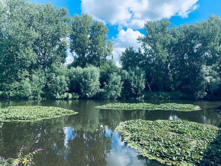 Te huur: Appartement Gaasterlandstraat in Amsterdam - Foto 3