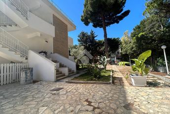 Villa singola in affitto