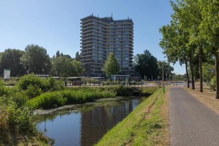 Chambre étudiante partagée Dijkgraaf 4, Wageningen - Foto 4