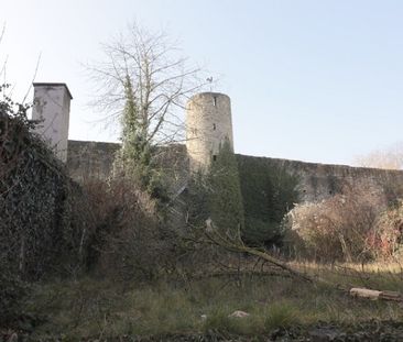 Charmante 1 Zimmerwohnung in Heidingsfeld mit Gartenmitbenutzung - Foto 4