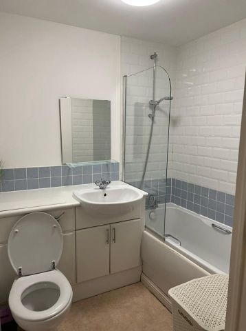 2 Bed Flat, Wallace St, G5 - Photo 5