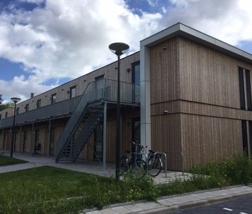 26, Avicennapad, 2333 CJ, Leiden - Photo 2