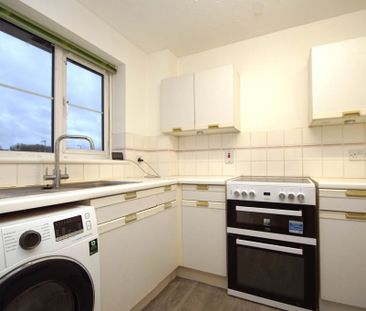 2 bed Apartment for rent - Photo 3