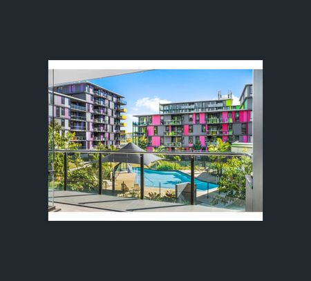 3101/8 Perkins Lane, Southport, Qld 4215 - Photo 4