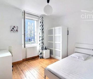 Colocation Maison quartier facultés. - Photo 6