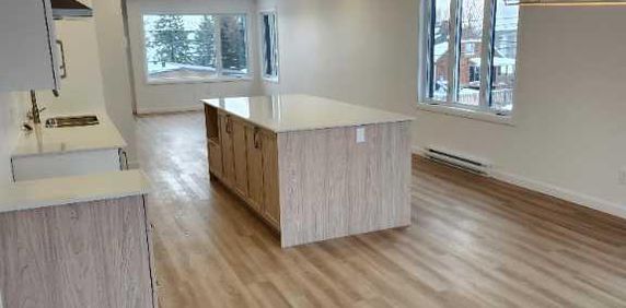 Appartement de luxe de 1450 pi², avec vu Panoramique (St-Hyacinthe) - Photo 2