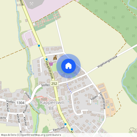 Zilmattstrasse 101, 3255 Rapperswil BE