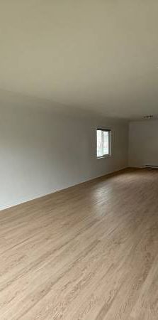 Large 3 bedroom suite in Fernwood. Fresh Paint and brand new flooring - Photo 1