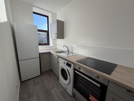 Wellgrove Street, Lochee 27 1/L, DD2 2QY, Dundee - Photo 4