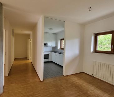 Kinderfreundliche und grüne Wohnoase am Dorfrand von Riehen - Photo 4