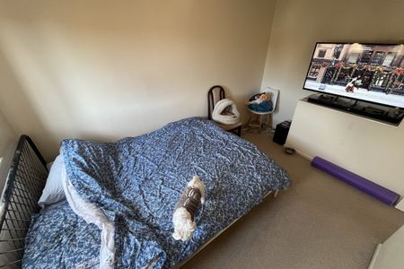 Thyme Close - Photo 3