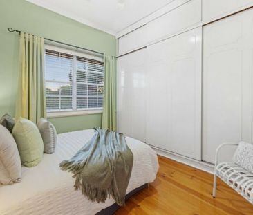 Solar Panels // Save on Power and Pet Friendly - Photo 6