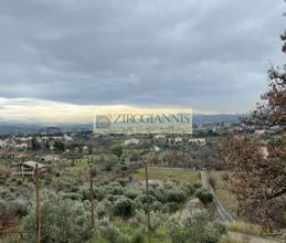Μονοκατοικία για ενοικίαση - Αφίδνες, - Photo 6