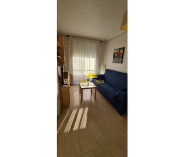 1 BEDROOM APARTMENT - TORREVIEJA - Photo 3