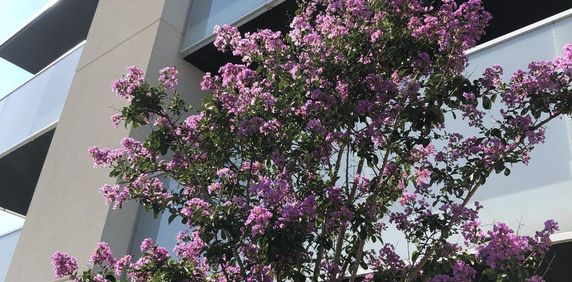 Location Appartement 3 pièces 64m² SERIGNAN 34410 - Photo 2