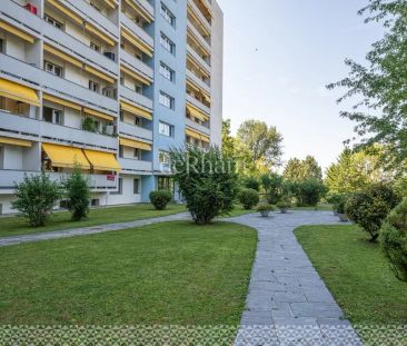 Studio à louer dans un quartier verdoyant, proche des commodités - Photo 1