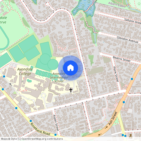 26B Holly Street, Avondale, Central Auckland