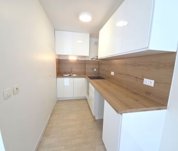 Location Appartement 2 pièces 41m² FONTAINEBLEAU 77300 - Photo 3