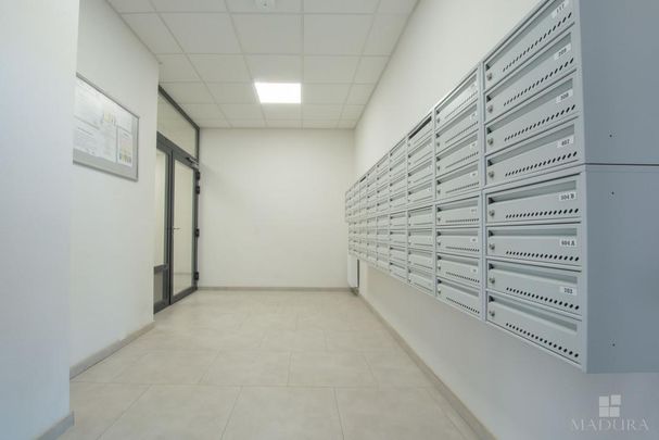 MIESZKANIE na WYNAJEM - Photo 1