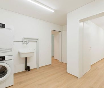 3.5 Zimmer, EG - Photo 5