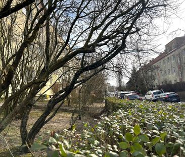 MIESZKANIE na WYNAJEM - Photo 2