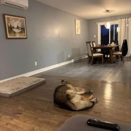 Chambre à Louer incluant WiFi - Photo 3