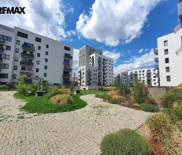 Pronájem bytu 2+kk v osobním vlastnictví 60 m², Brno - Photo 4